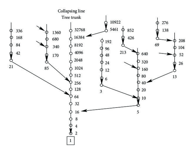 An overview of a Collatz tree visualization